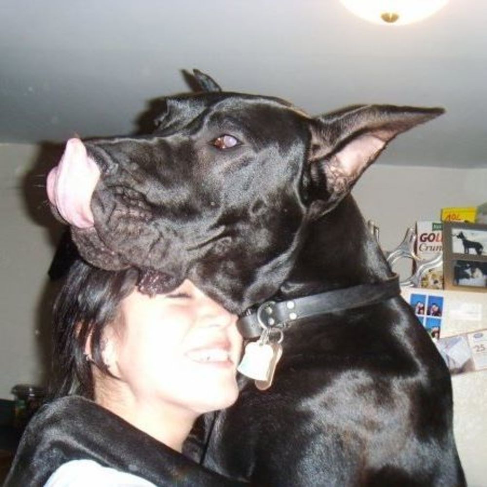 Meet your Posher, Dennell